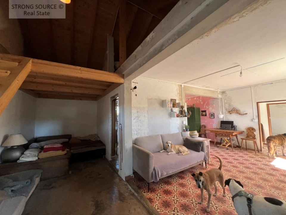 Quinta T3 para Venda em São Teotónio Foto 45