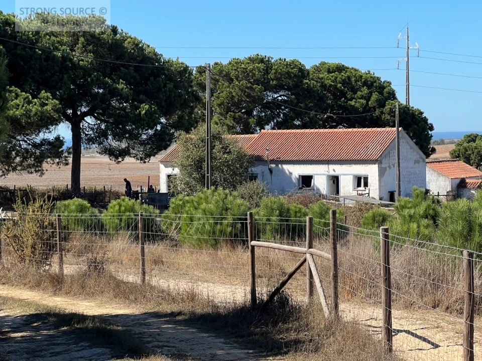 Quinta T3 para Venda em São Teotónio Foto 5