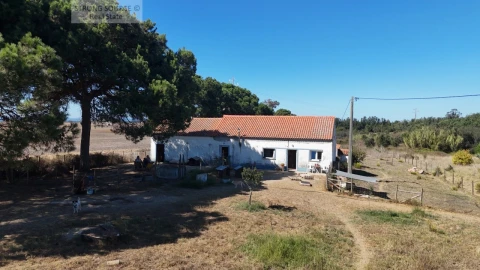 Quinta T3 para Venda em São Teotónio