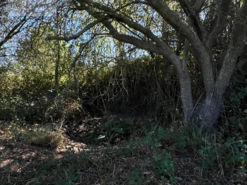 Quinta T3 para Venda em São Teotónio