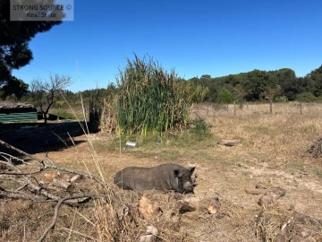 Quinta T3 para Venda em São Teotónio