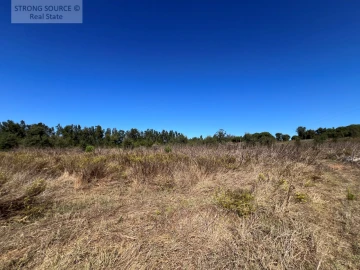 Quinta T3 para Venda em São Teotónio
