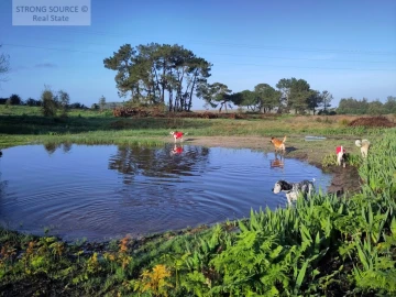 Quinta T3 para Venda em São Teotónio