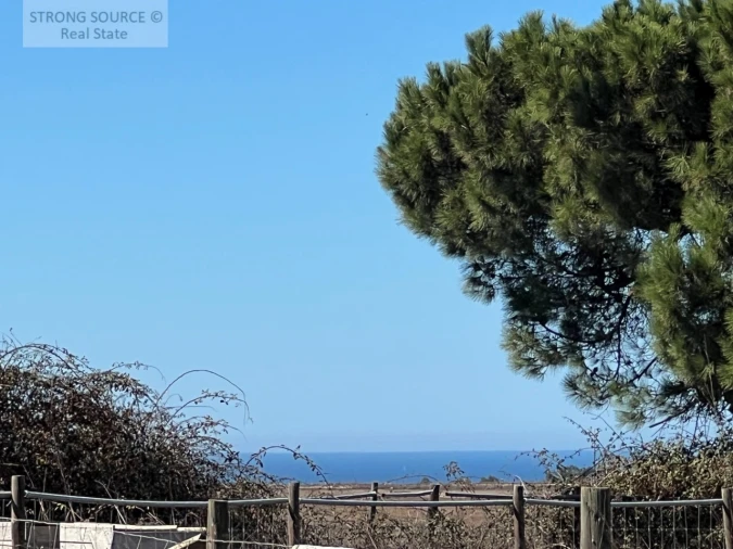 Quinta T3 para Venda em São Teotónio Foto 6