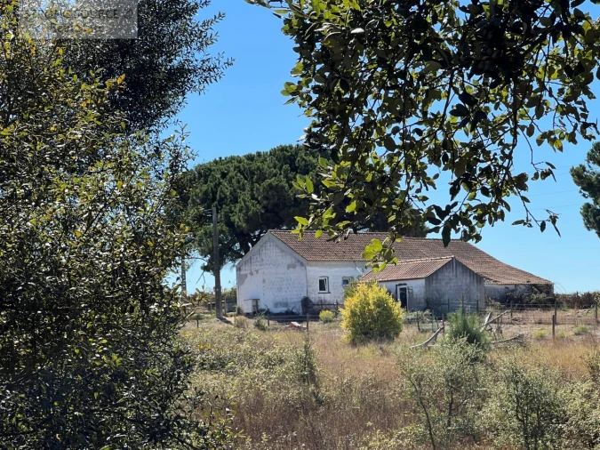 Quinta T3 para Venda em São Teotónio Foto 8