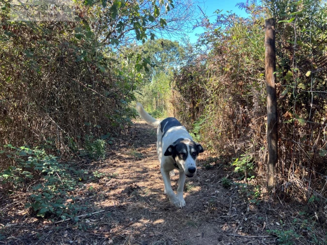 Quinta T3 para Venda em São Teotónio Foto 13