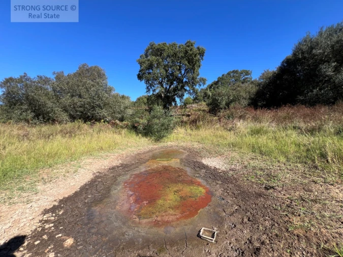 Quinta T3 para Venda em São Teotónio Foto 22