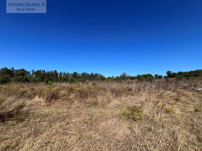 Quinta T3 para Venda em São Teotónio Foto 27