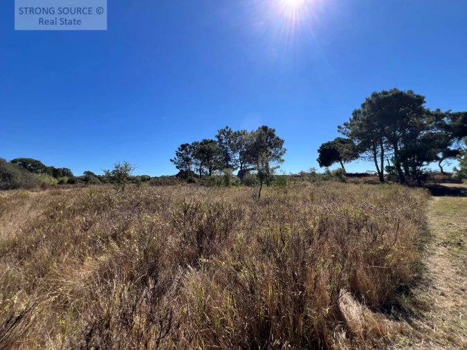 Quinta T3 para Venda em São Teotónio Foto 28