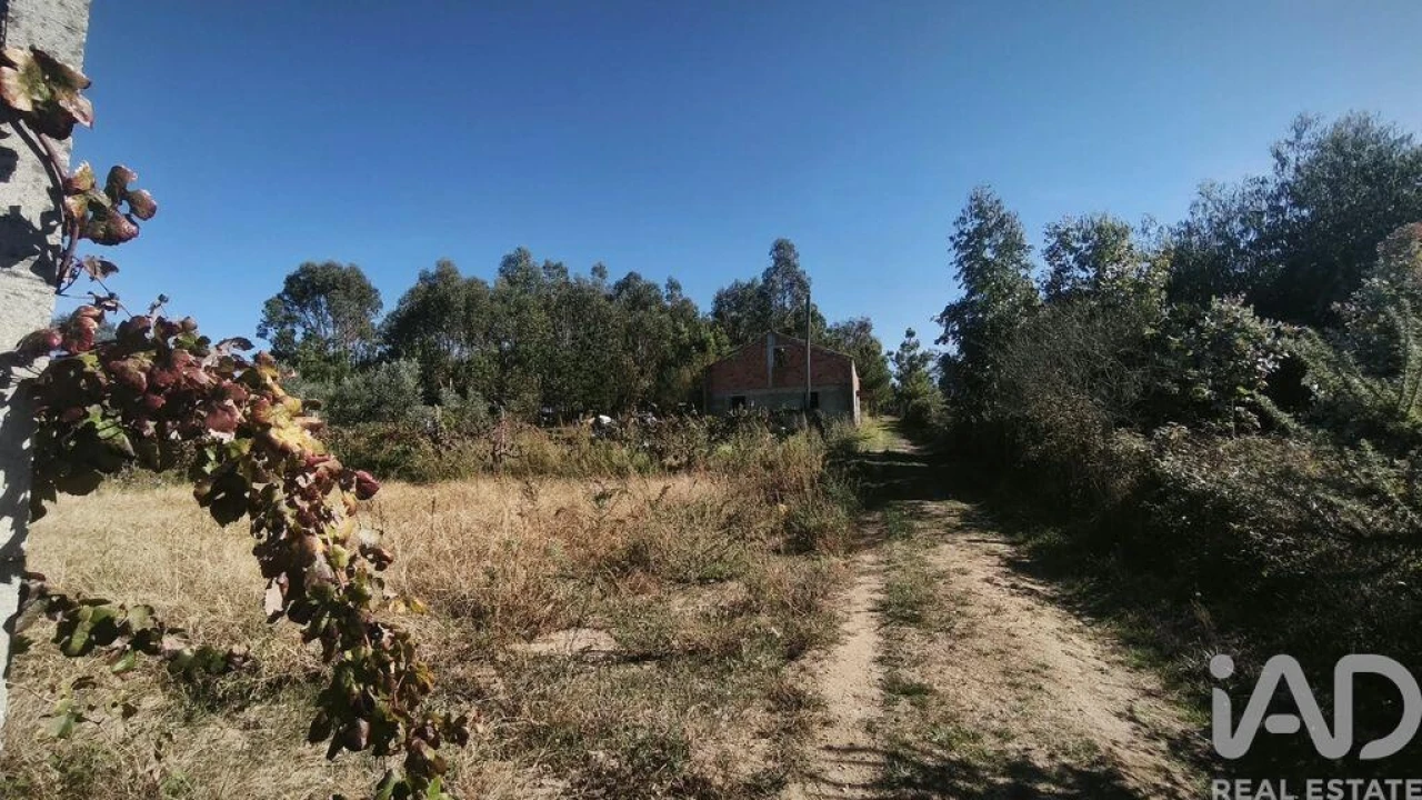 Moradia para Venda em Lagos da Beira e Lajeosa Foto 15