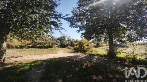 Moradia para Venda em Lagos da Beira e Lajeosa