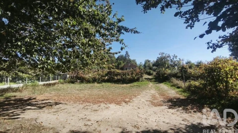 Moradia para Venda em Lagos da Beira e Lajeosa