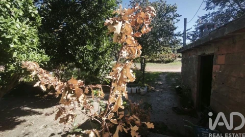 Moradia para Venda em Lagos da Beira e Lajeosa