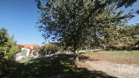 Moradia para Venda em Lagos da Beira e Lajeosa