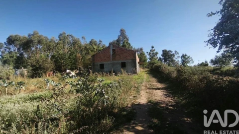 Moradia para Venda em Lagos da Beira e Lajeosa