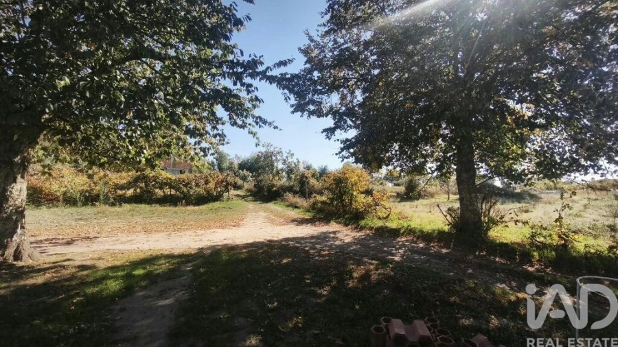 Moradia para Venda em Lagos da Beira e Lajeosa Foto 16