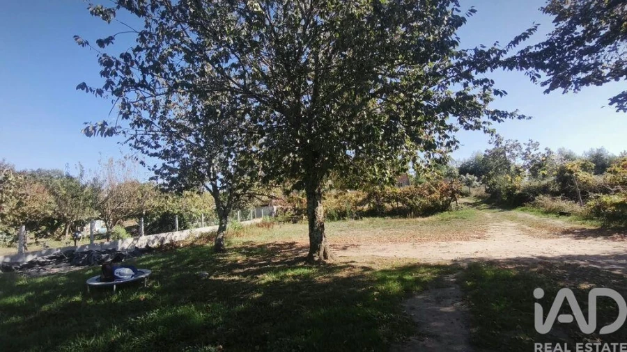 Moradia para Venda em Lagos da Beira e Lajeosa Foto 27