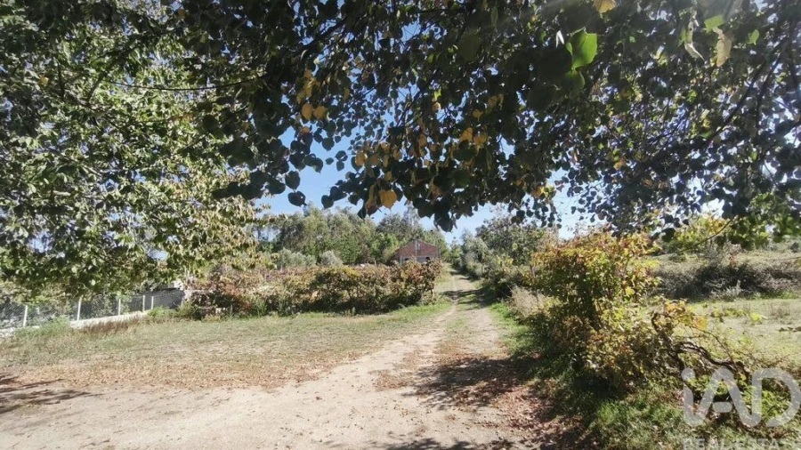 Moradia para Venda em Lagos da Beira e Lajeosa Foto 22