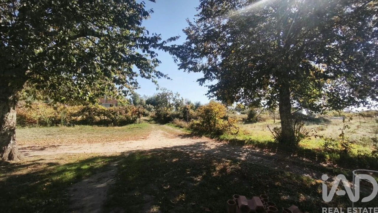 Moradia para Venda em Lagos da Beira e Lajeosa Foto 16