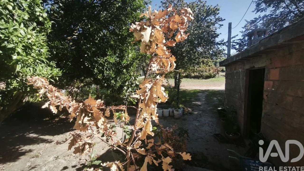 Moradia para Venda em Lagos da Beira e Lajeosa Foto 10