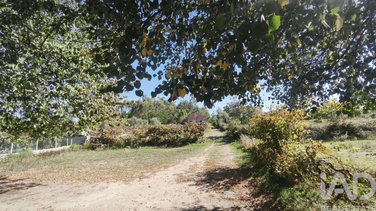 Moradia para Venda em Lagos da Beira e Lajeosa Foto 22