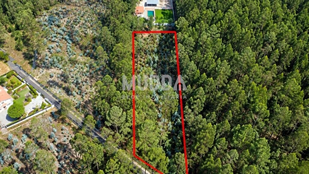 Terreno para Venda em Macieira de Cambra Foto 3