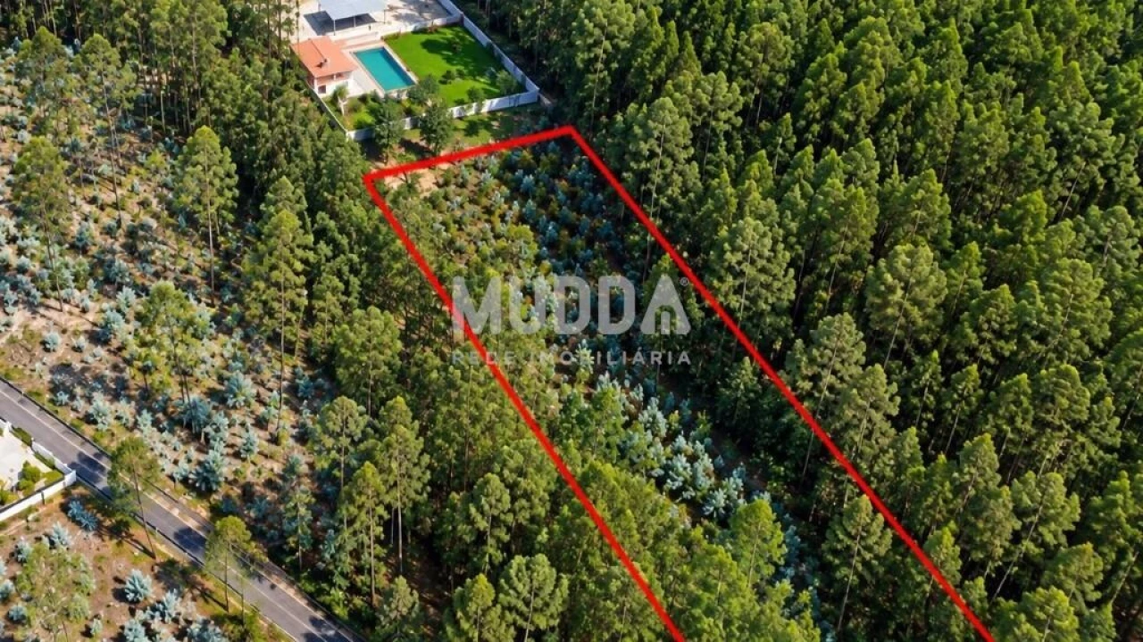 Terreno para Venda em Macieira de Cambra Foto 1