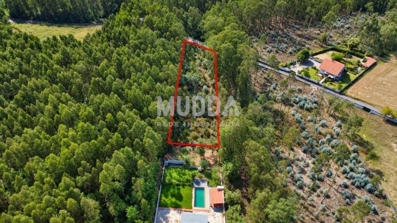 Terreno para Venda em Macieira de Cambra Foto 2