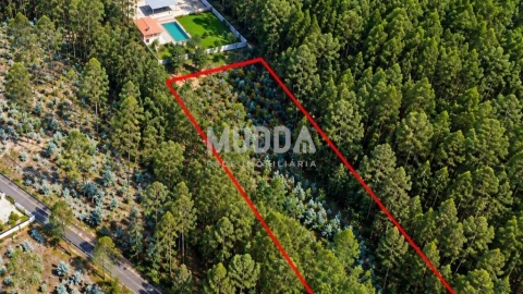 Terreno para Venda em Macieira de Cambra