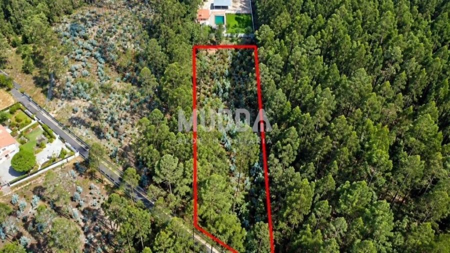Terreno para Venda em Macieira de Cambra Foto 3