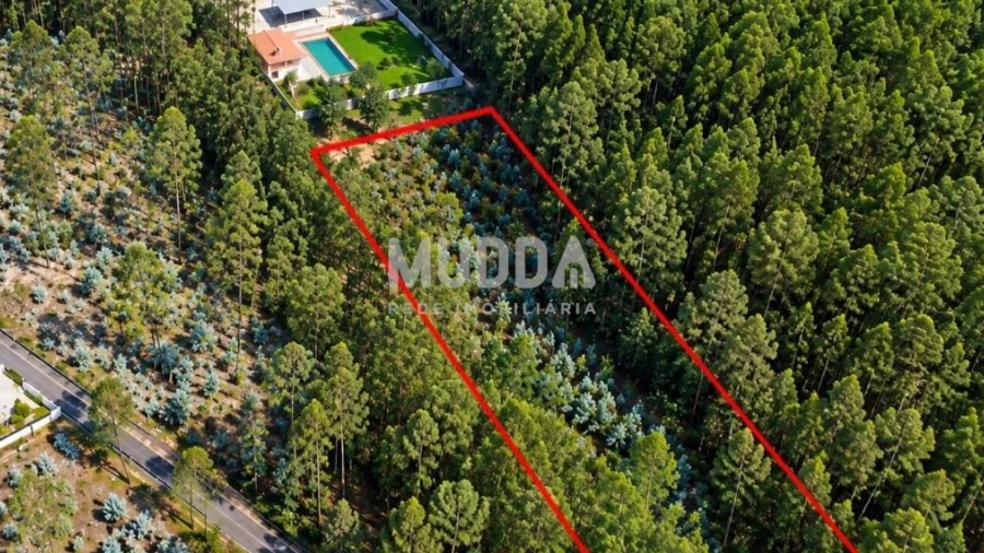 Terreno para Venda em Macieira de Cambra