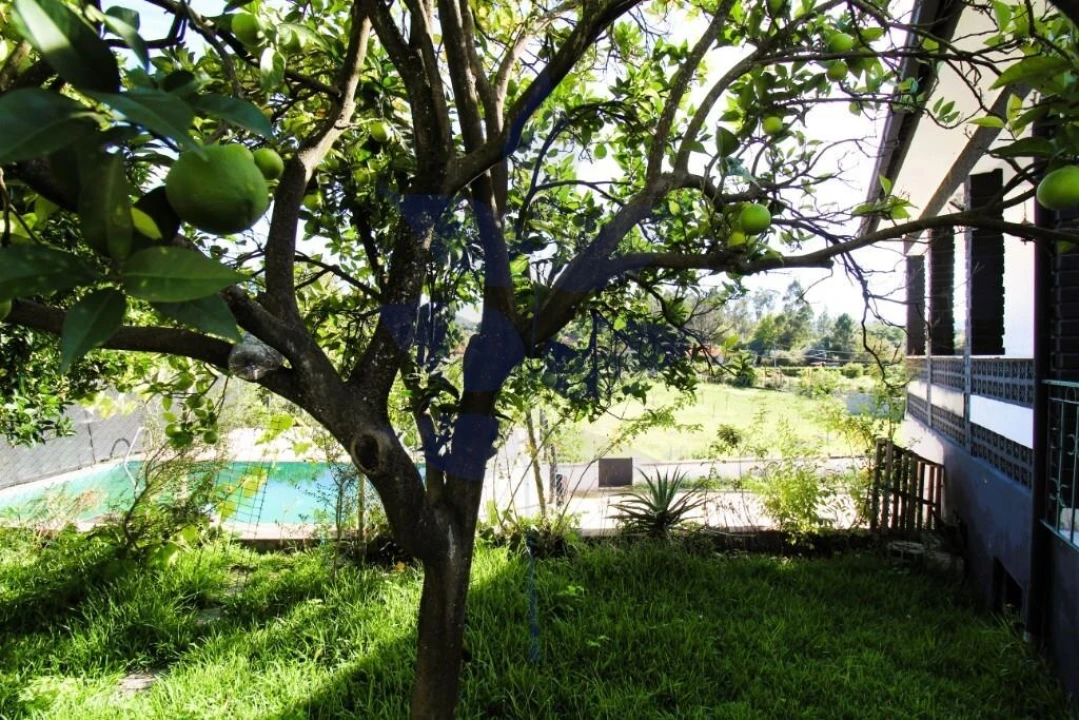 Moradia T3 para Venda em Verim, Friande e Ajude Foto 36