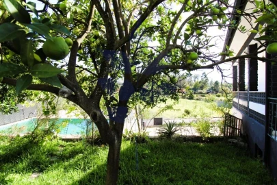 Moradia T3 para Venda em Verim, Friande e Ajude