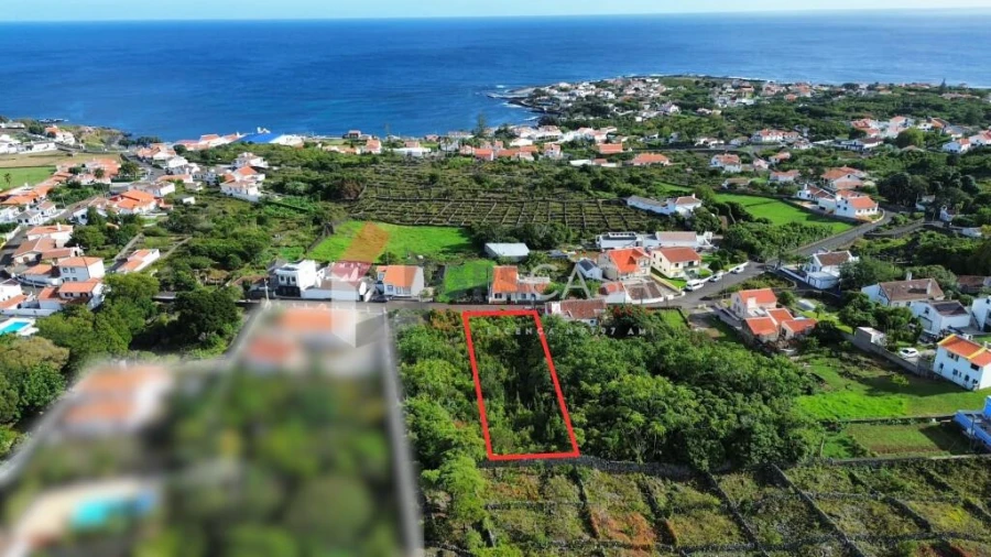 Terreno para Venda em Porto Martins Foto 4