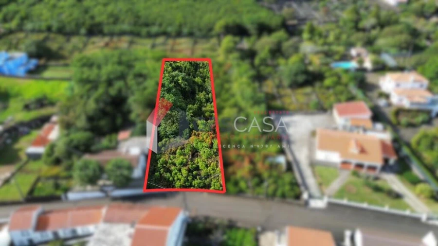 Terreno para Venda em Porto Martins Foto 2