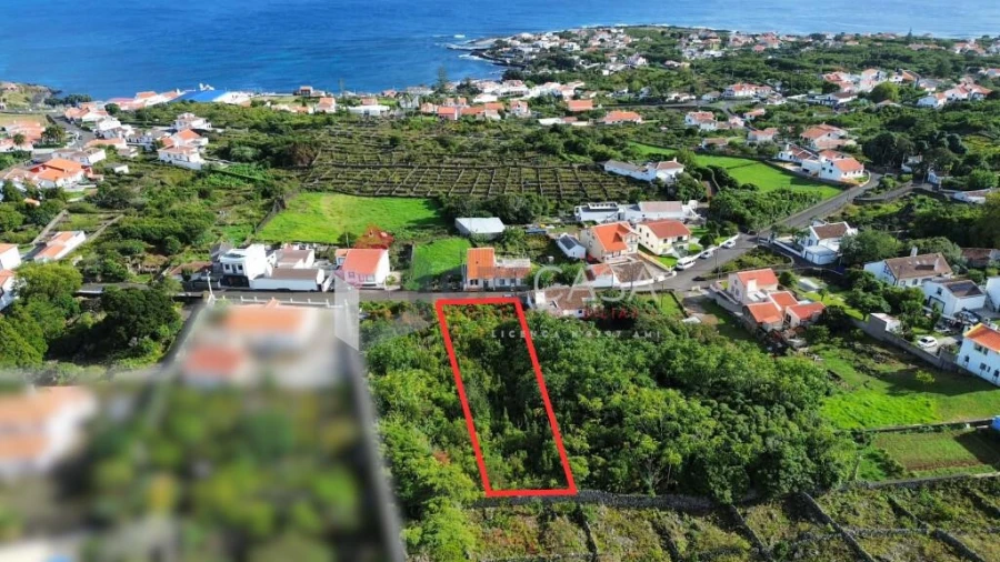 Terreno para Venda em Porto Martins Foto 5