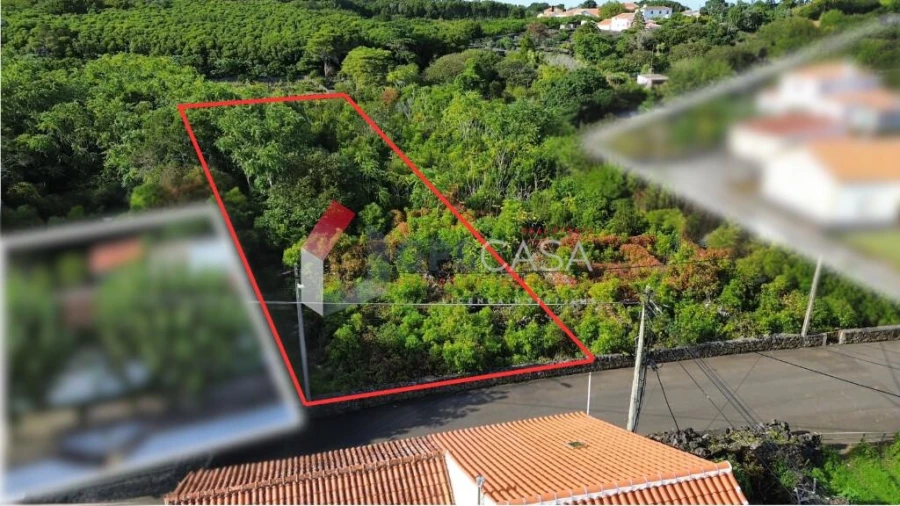Terreno para Venda em Porto Martins Foto 7