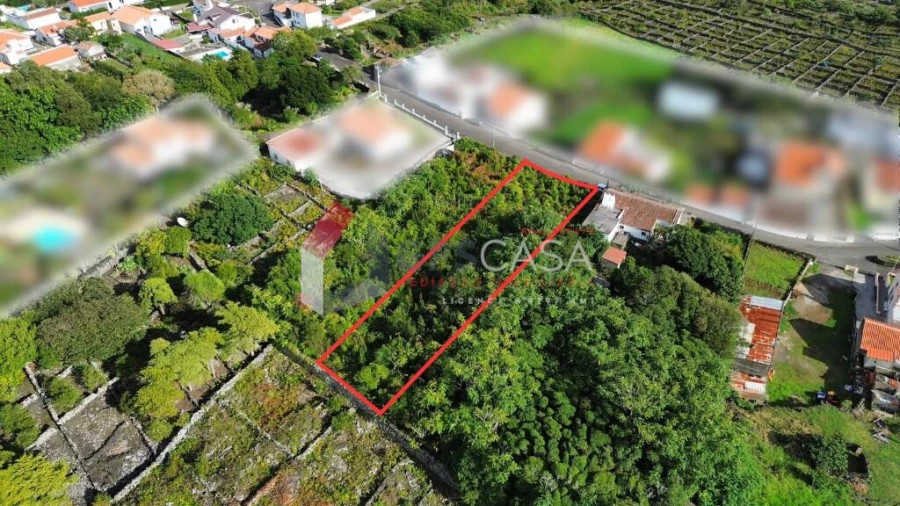 Terreno para Venda em Porto Martins Foto 3