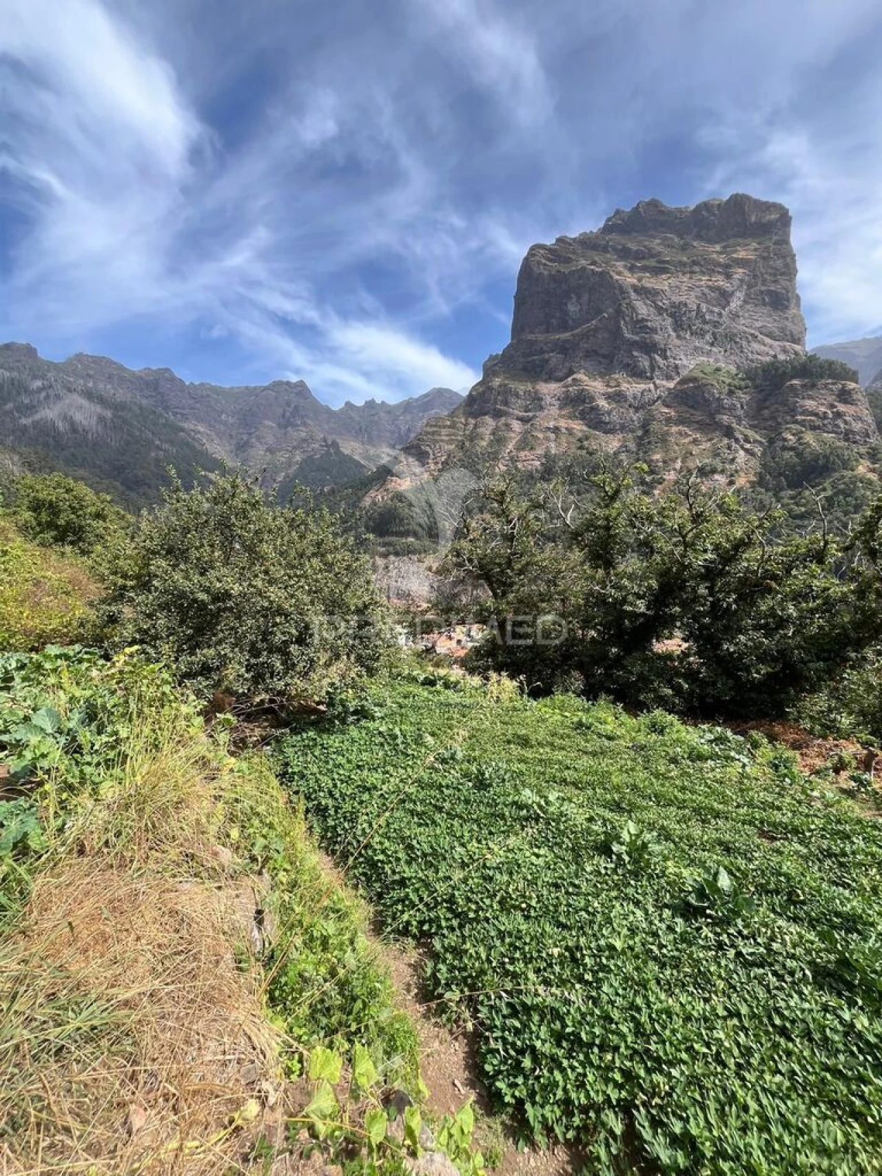 Terreno para Venda em Curral das Freiras Foto 10