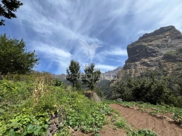 Terreno para Venda em Curral das Freiras