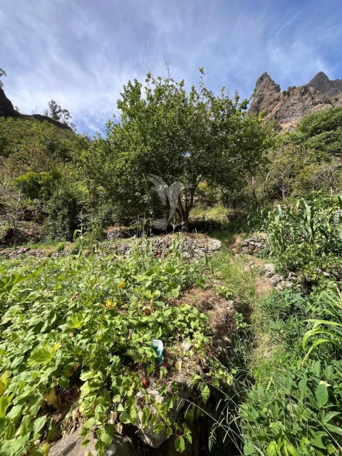 Terreno para Venda em Curral das Freiras