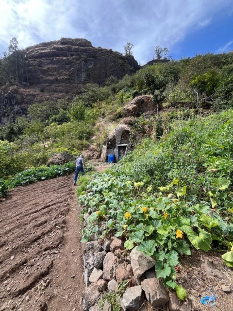 Terreno para Venda em Curral das Freiras