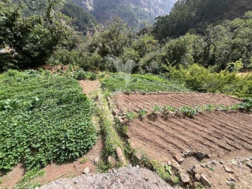Terreno para Venda em Curral das Freiras