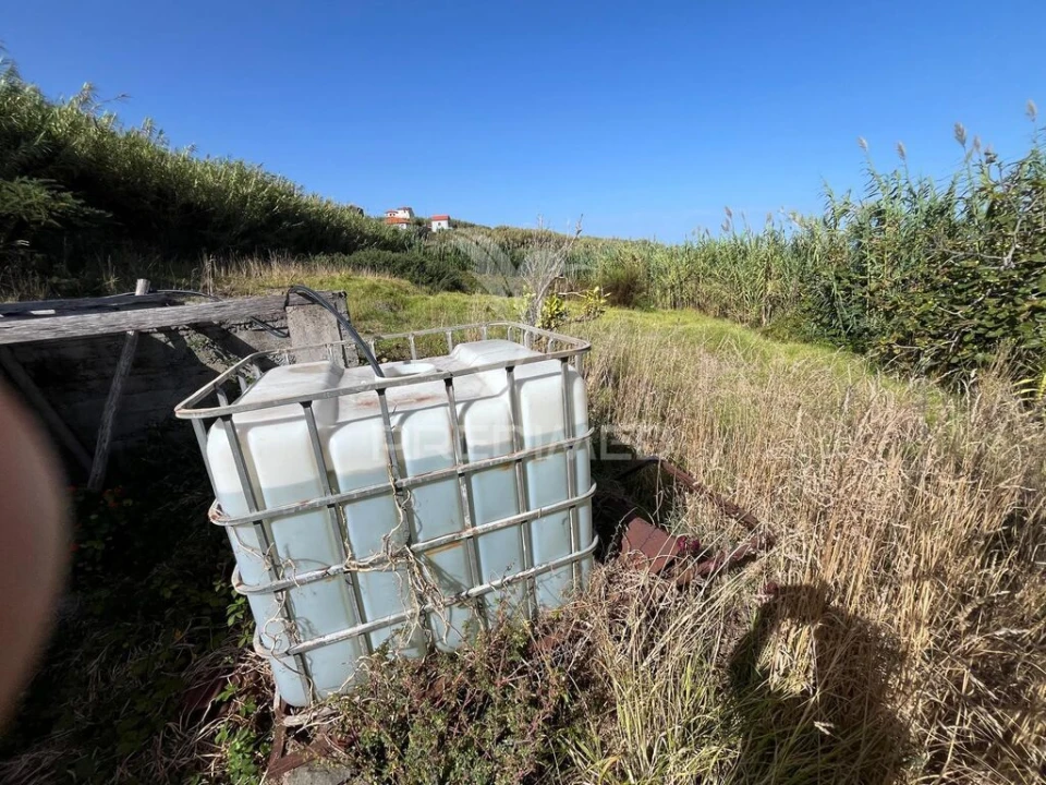 Terreno para Venda em Curral das Freiras Foto 14