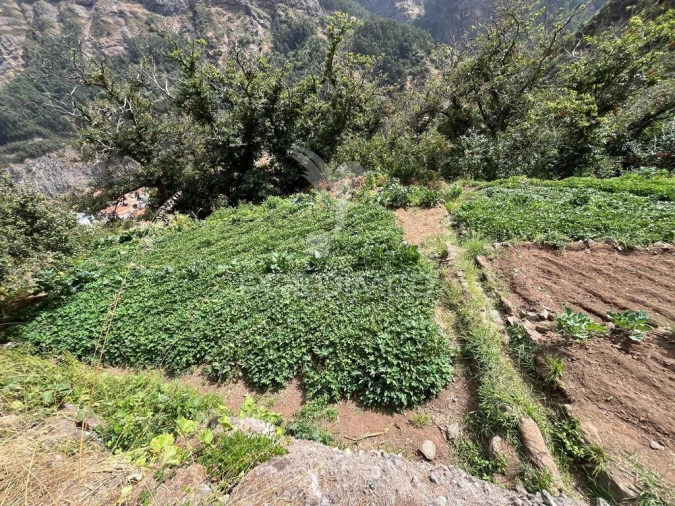 Terreno para Venda em Curral das Freiras Foto 8