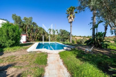 Quinta T4 para Venda em Silves