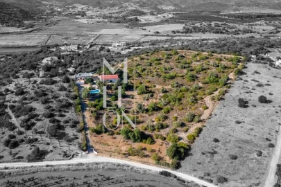 Quinta T4 para Venda em Silves