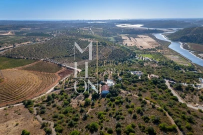 Quinta T4 para Venda em Silves