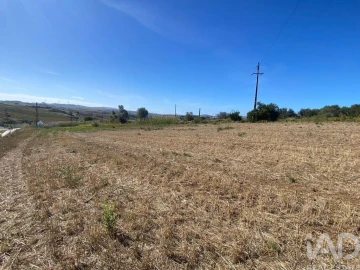 Terreno para Venda em Carvoeira e Carmões
