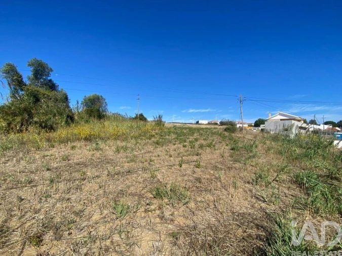 Terreno para Venda em Carvoeira e Carmões Foto 4
